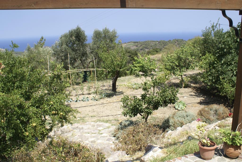 Villa O Ioannis Kritinía Exterior foto